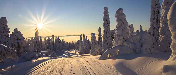 Sex av tio svenskar pratar om vädret dagligen