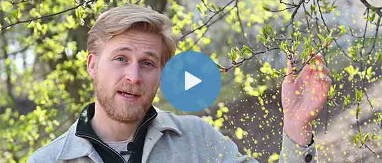 Pollenhalterna påverkas av vädret - Micke förklarar!