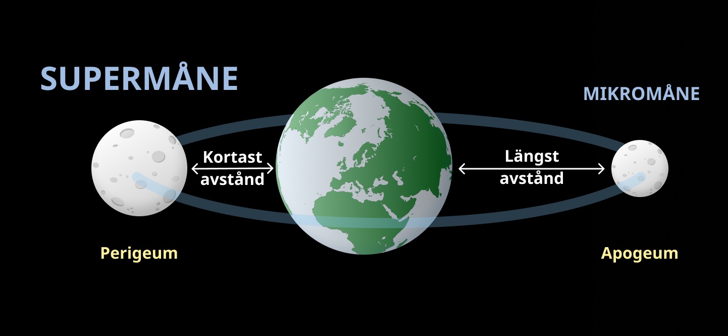 Illustration av månens ovala bana runt jorden. Supermåne inträffar vid det kortaste avståndet till jorden.