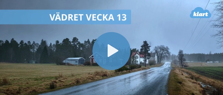 Veckans väder - regn på regn