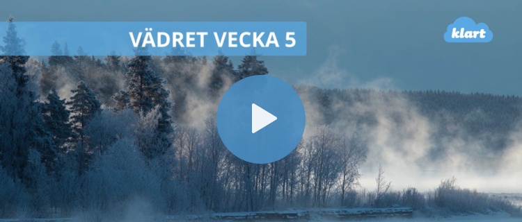 Veckans väder - kyla och januarisol