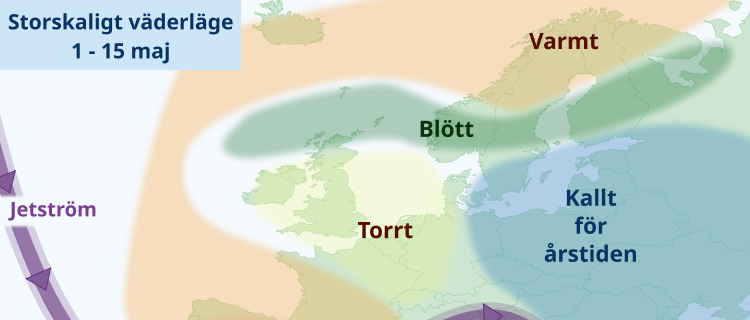Majvädret - enstaka bakslag i en varm månad