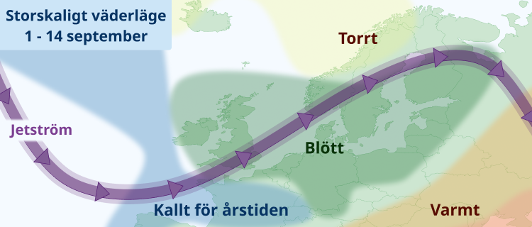 Septembervädret - rätt normalt