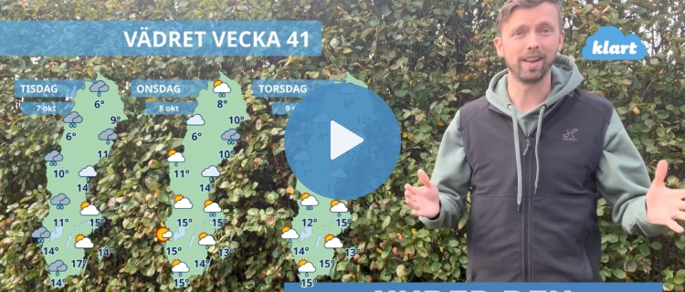 Veckans väder - flera områden med regn