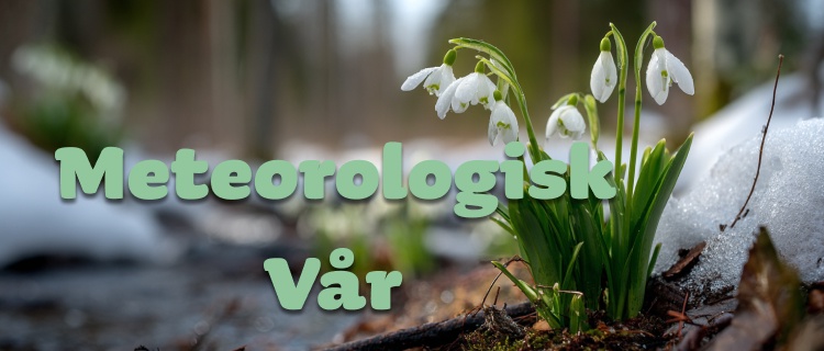 Våren kan redan vara här i Sydsverige