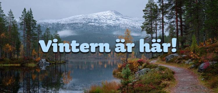Nu har vintern kommit till Sverige!