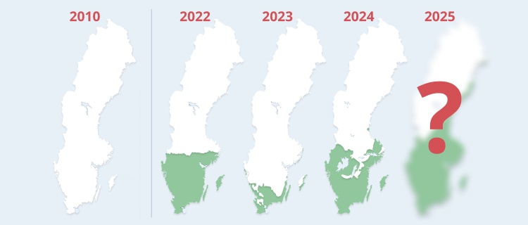 Jakten på den vita julen