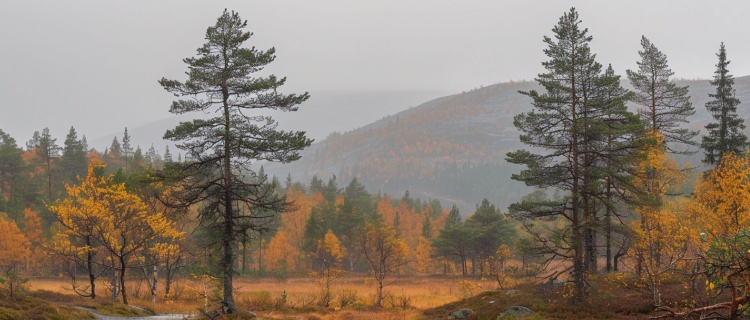 Högtryck men mulet på hösten?