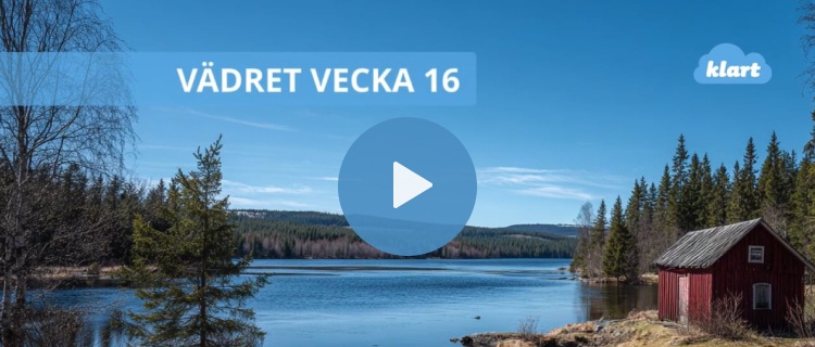 Veckans väder - högtrycket dominerar