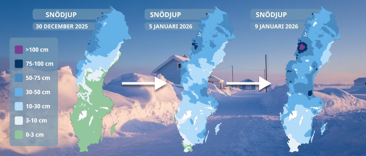 Ovanligt mycket snö i södra Sverige