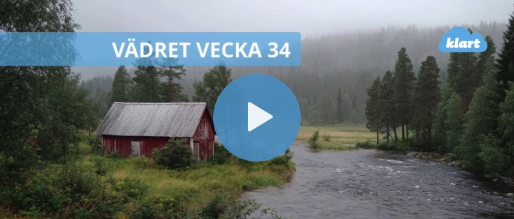 Veckans väder - regn avlöser varandra
