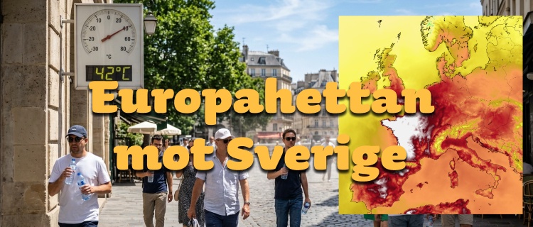 Europahettan påväg till Sverige