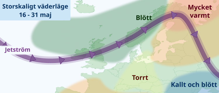 Majvädret - enstaka bakslag i en varm månad