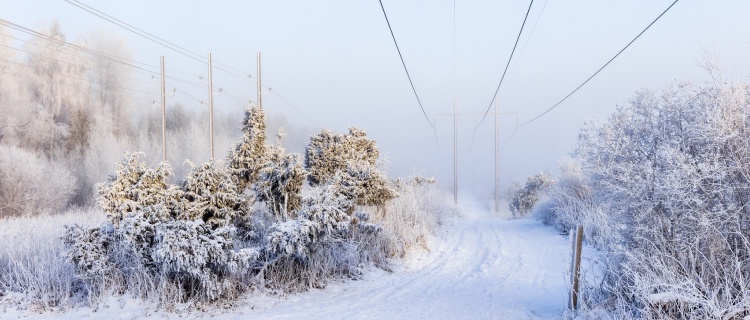 Dyrare el i vinter? bästa tipsen för att spara!