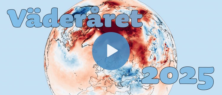 Väderåret 2025: snö, tropiska nätter och s...