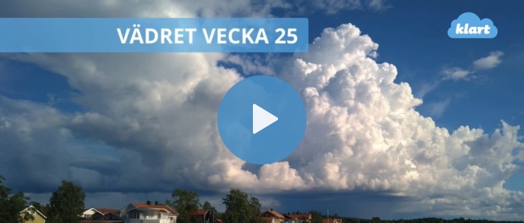Veckans väder - efter regn kommer sol