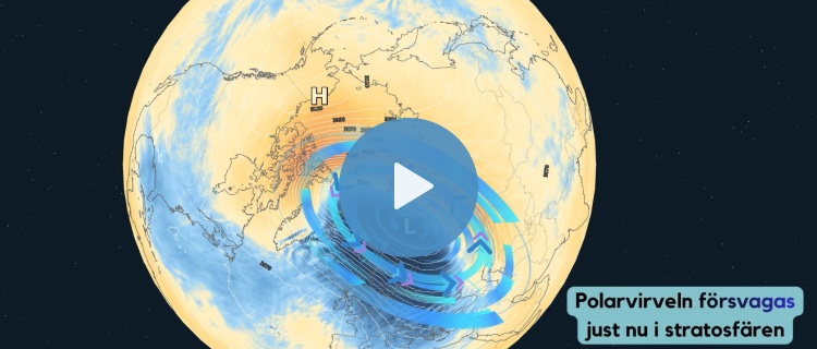 Fenomenet i början av mars som kan ge ny kyla