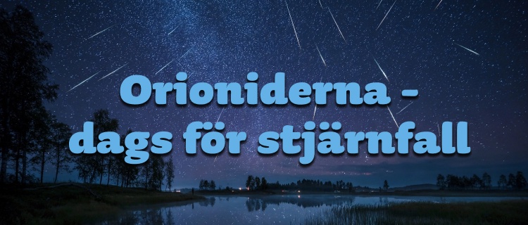 Orioniderna når sin topp!