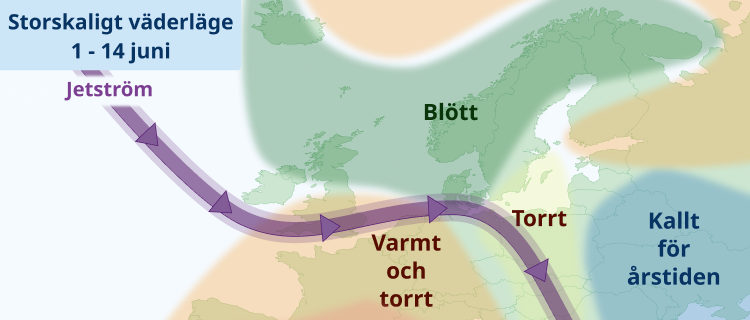 Junivädret - värme och sol inför midsommar